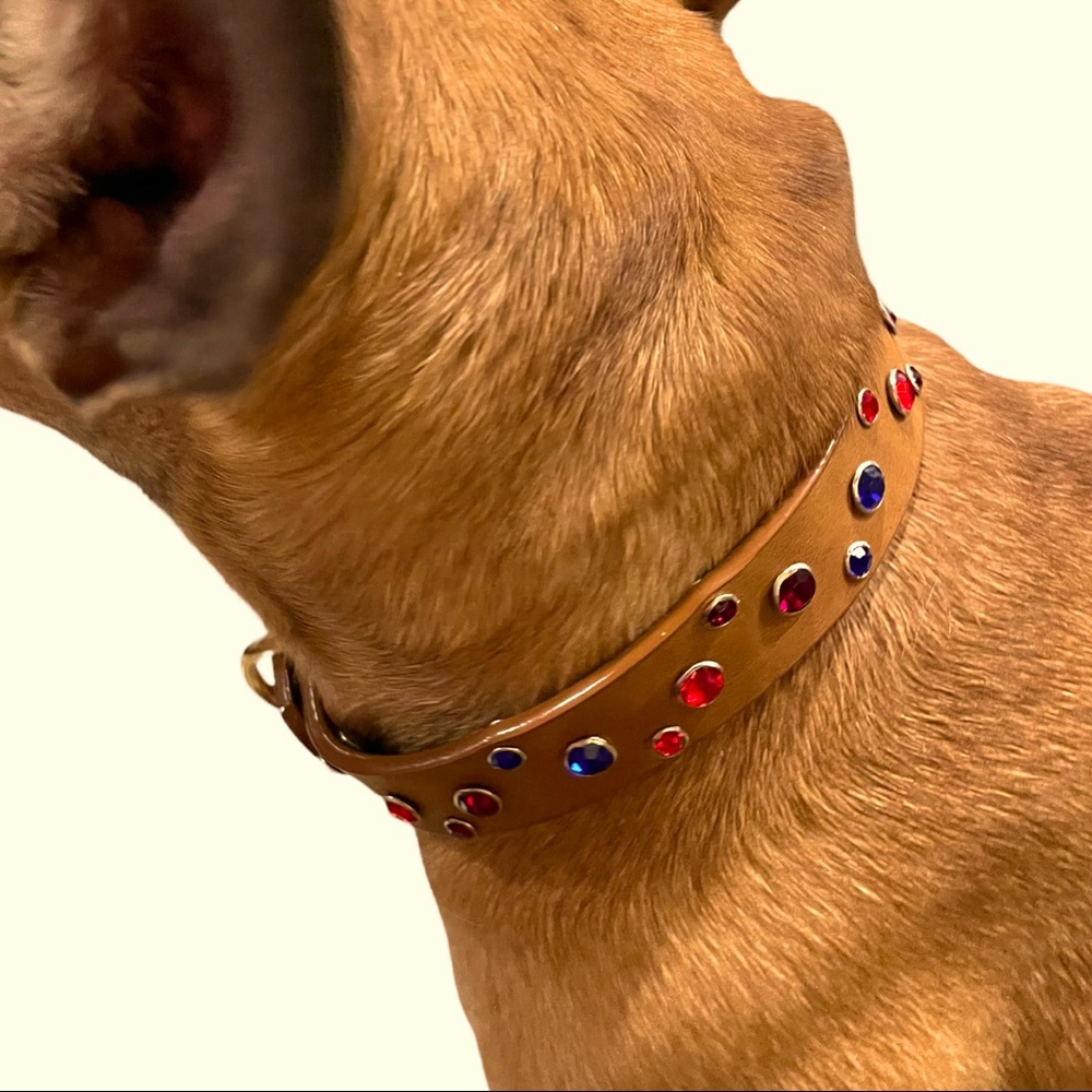 Phoggy dog red and blue vegan leather collar